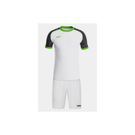 Maillot Iconic 4224 E